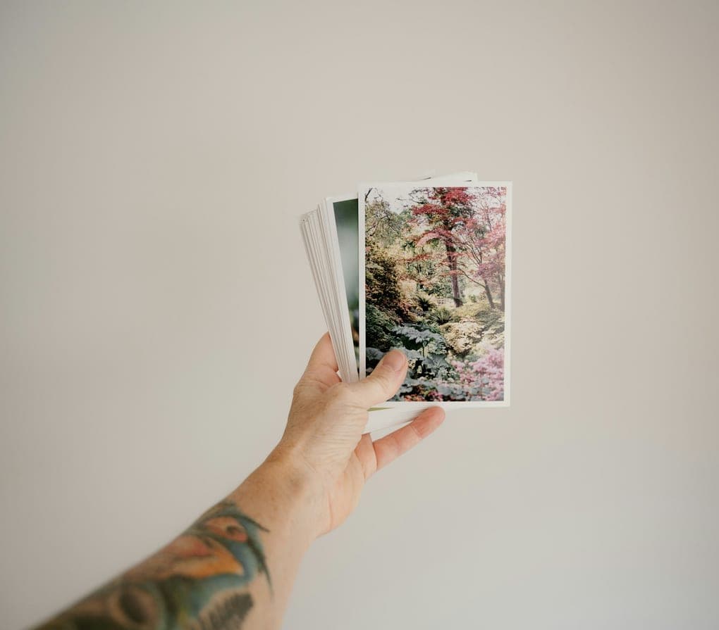 Fotografías recién impresas en papel fotográfico, sostenidas en la mano